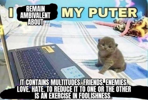 Tiny kitten sitting in front of a big laptop, captioned "I remain ambivalent about my puter. It contains multitudes. Friends. Enemies. Love. Hate. To reduce it to one or the other is an exercise in foolishness."