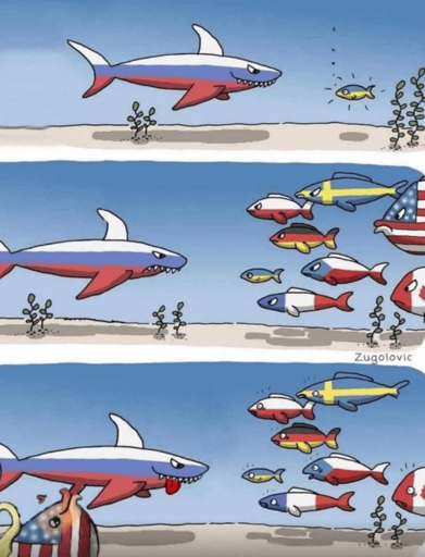 Real fishy