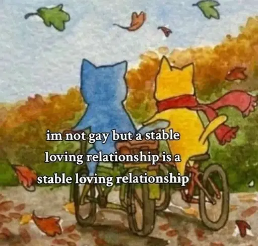 A picture of two cats side by side on bikes. One is blue and the other is yellow with a red scarf. Leaves of all colors are gently falling down in the breeze around them, and you can see the multi colored trees in the background. There's text over the image saying "im not gay but a stable loving relationship is a stable loving relationship"