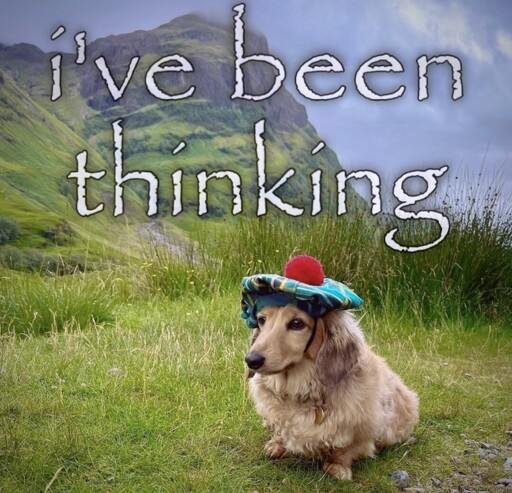 Picture of a dog with a hat on on the backdrop of a green mountainside that says "I've been thinking"